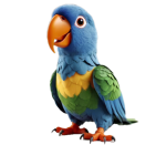 نگهداری، فروش و خدمات تخصصی طوطیها در طوطیکده