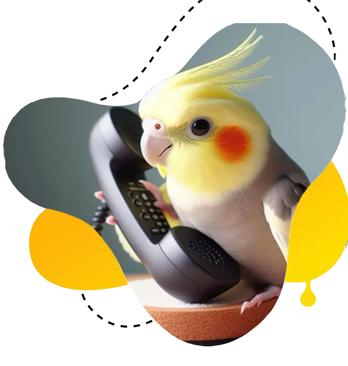 نگهداری، فروش و خدمات تخصصی طوطیها در طوطیکده