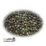 شاه دانه مخصوص عروس هلندی 100 گرمی | غذای مغذی برای پرندگان زینتی