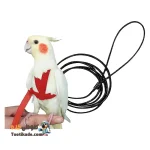 جلیقه پرواز عروس هلندی