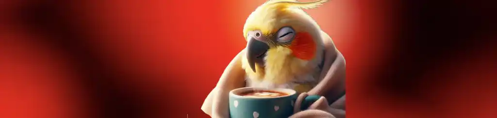 ایدز عروس هلندی - پرندگان