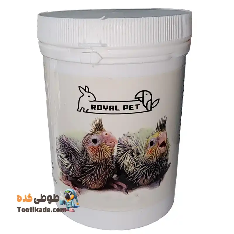 سرلاک عروس هلندی- سرلاک طوطی