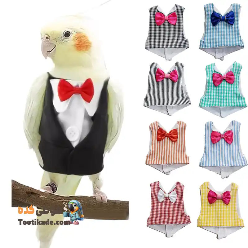 لباس دامادی عروس هلندی-لباس عروس هلندی لباس دامادی عروس هلندی-لباس عروس هلندی