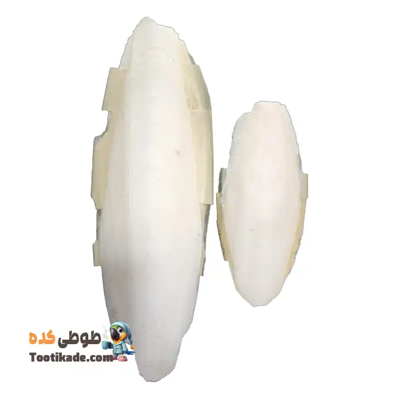 کف-دریا-طبیعی-طوطی-عروس-هلندی-50 گرم خرید کف دریا طبیعی پرندگان و طوطی سانان (عروس هلندی)